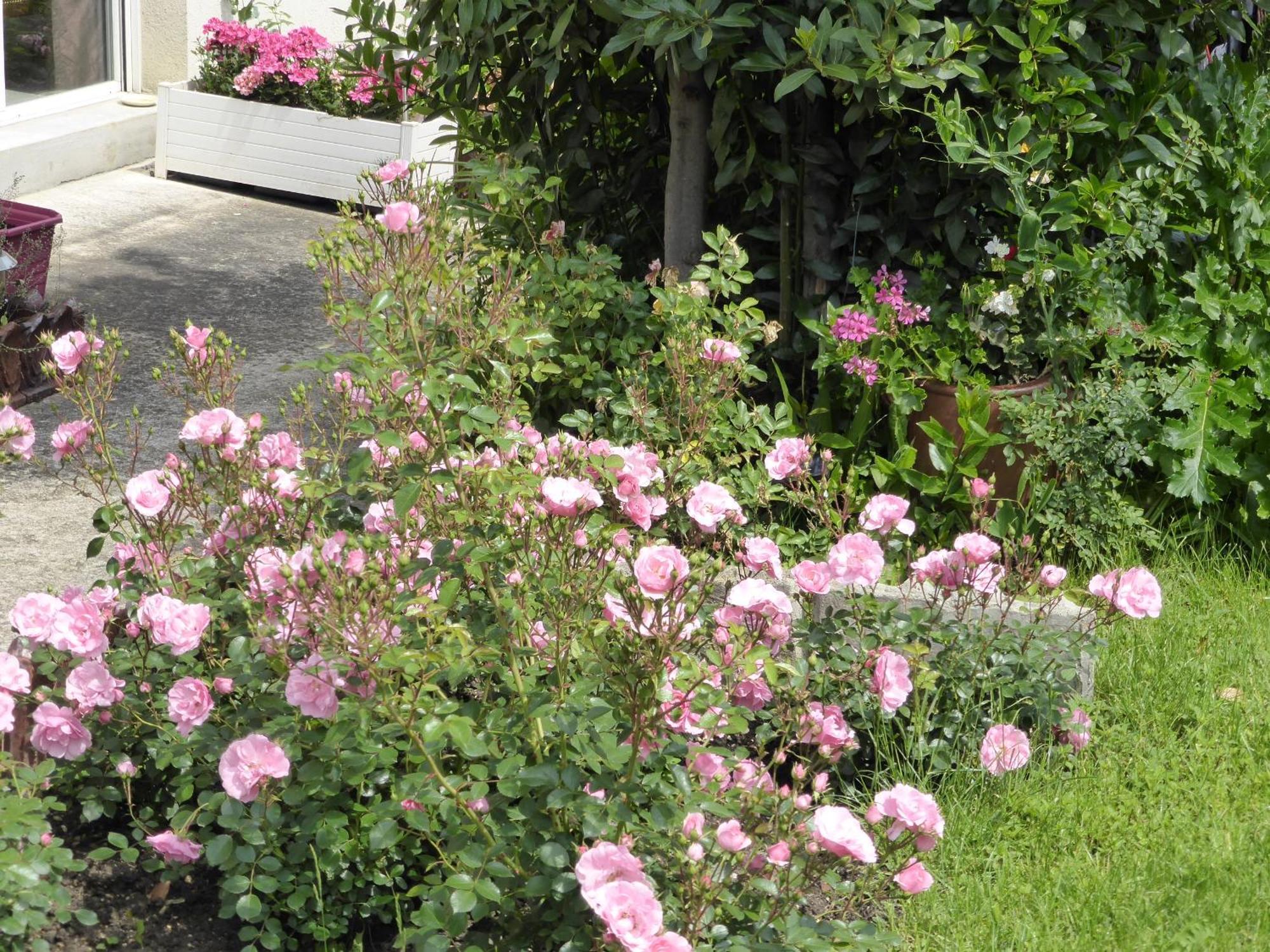 Une Chambre A Neuilly Guest House Exterior foto